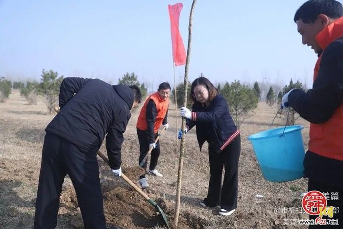 植绿护绿·共筑美好家园  济南市机械化清扫大队组织开展义务植树活动