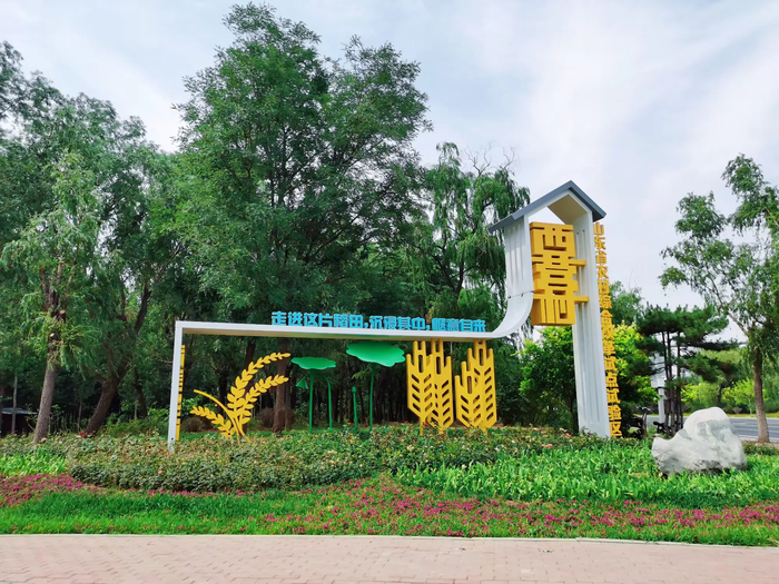 【一条路·一座城】④章丘：振兴之路！