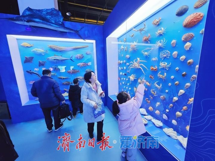 在山东省科技馆沉浸式探索海洋奥秘