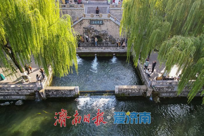 济南把最美的初冬，打包进了护城河！