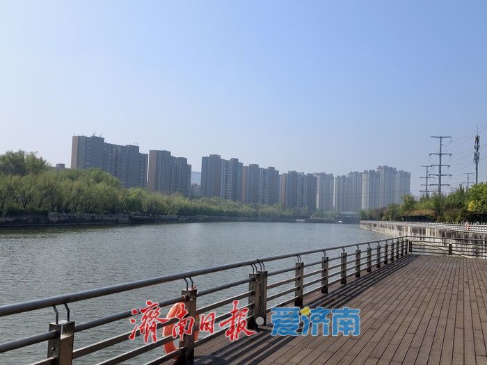 一年四季 泉在济南丨小清河畔春光好，生态蝶变展新颜