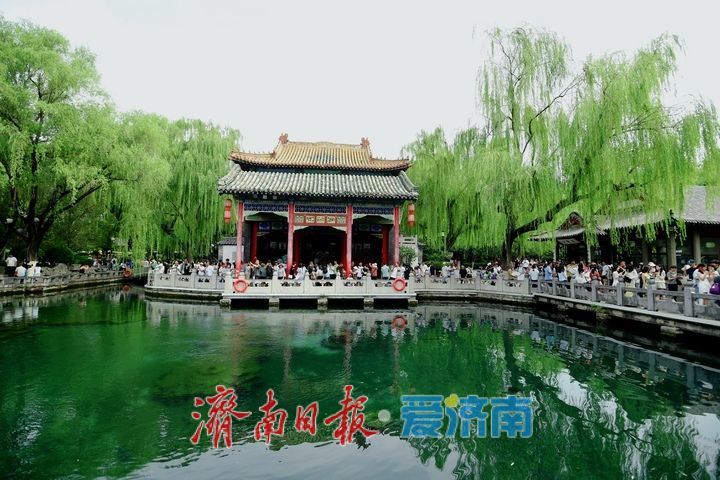 一年四季 泉在济南丨雨助泉涌，济南趵突泉水位4天上涨17厘米