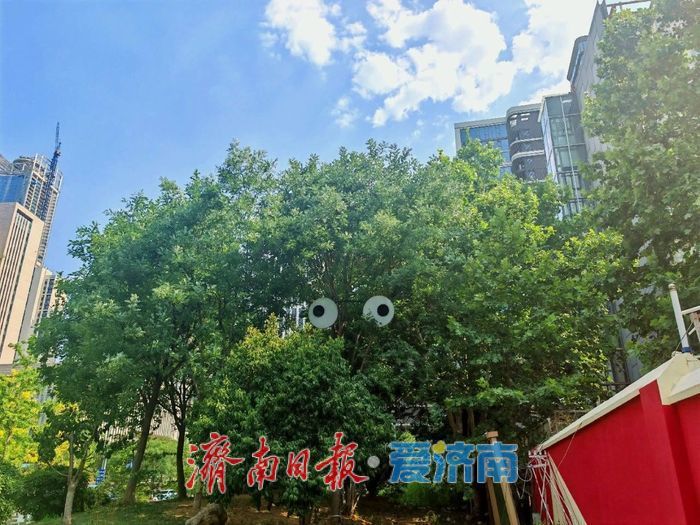 济南“转角见景”工程正开篇 于转角处遇见诗与画