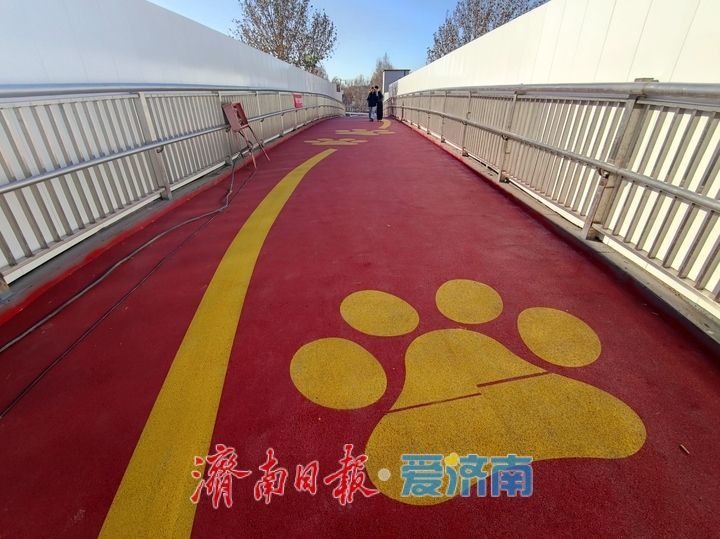 济南济泺路过街天桥进入收尾阶段 即将全面投用