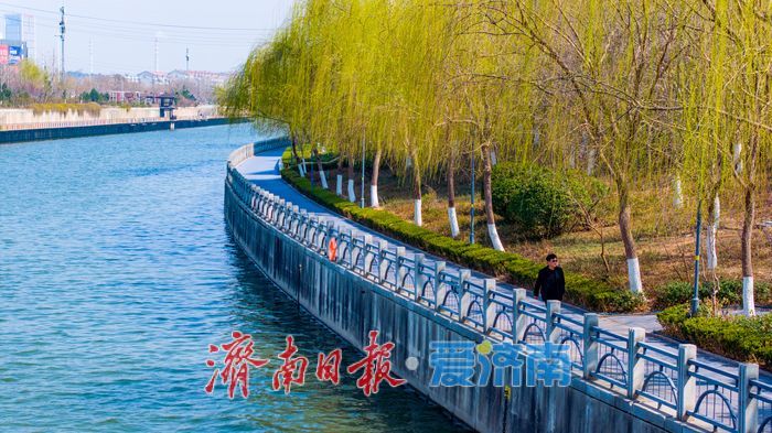 济南小清河：春染岸线 生机满河