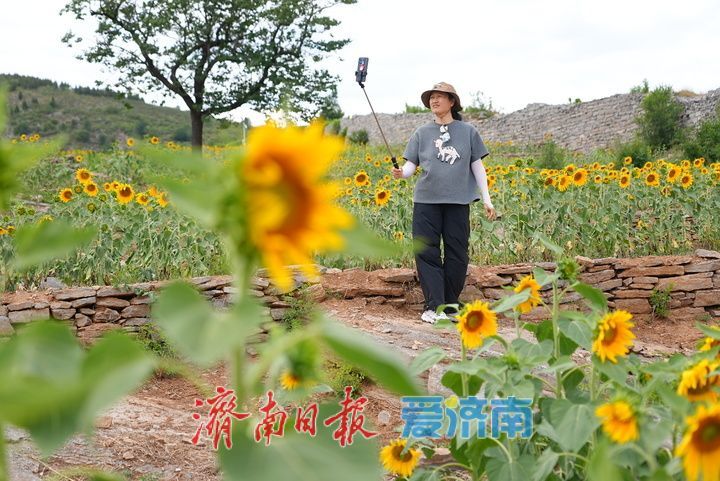 一年四季 泉在济南丨千年雄关花海盛放，古长城焕发新生机