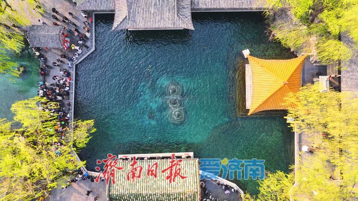 气温攀升泉涌欢，趵突泉畔春意浓