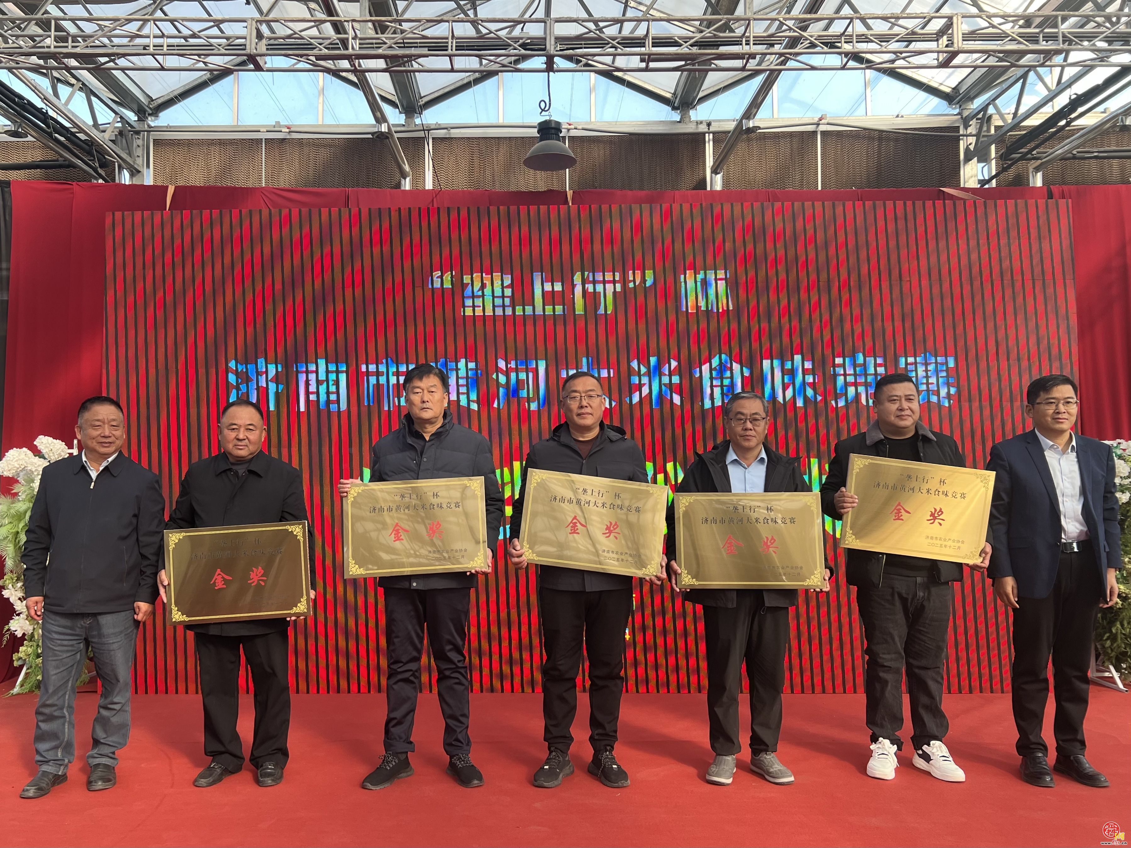 暖阳映稻香 品鉴促振兴  济南市黄河大米“垄上行”杯食味竞赛在槐荫区举办