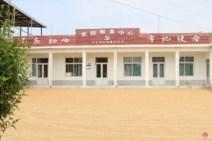 三夏生产美如画  金穗飘香迎丰收——白云湖街道“三夏”生产紧锣密鼓