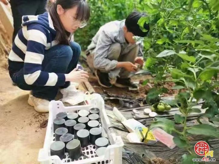 章丘区：开展专家服务活动 发展特色农业 助力乡村振兴发展