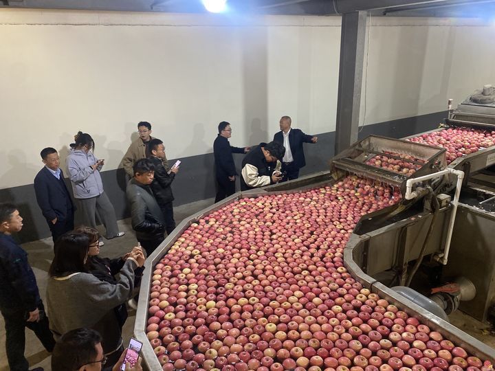 “云话山东”走进烟台