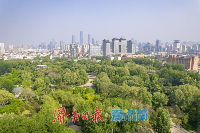 绿意满城风正劲，泉城春深景如画