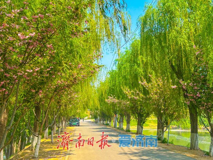 一年四季 泉在济南丨济南睦里闸春日生态画卷徐徐舒展