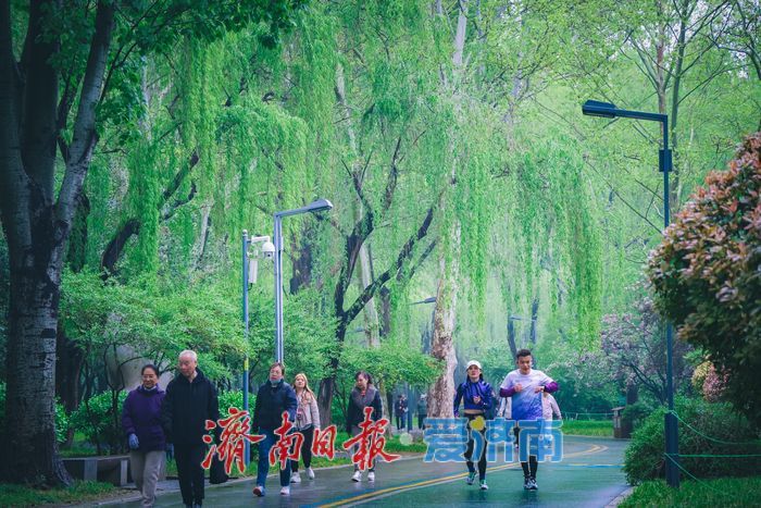 一年四季 泉在济南｜春雨润泉城 济南森林公园春日晨雨后换新颜