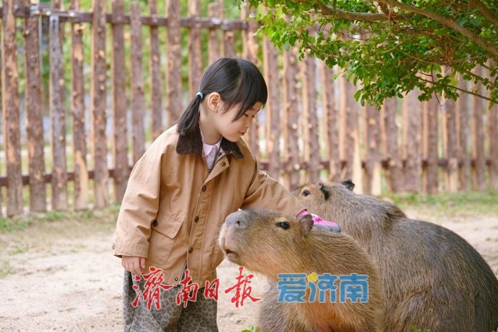 济南野生动物世界“五月遛娃节”启幕 超值优惠解锁初夏亲子新体验