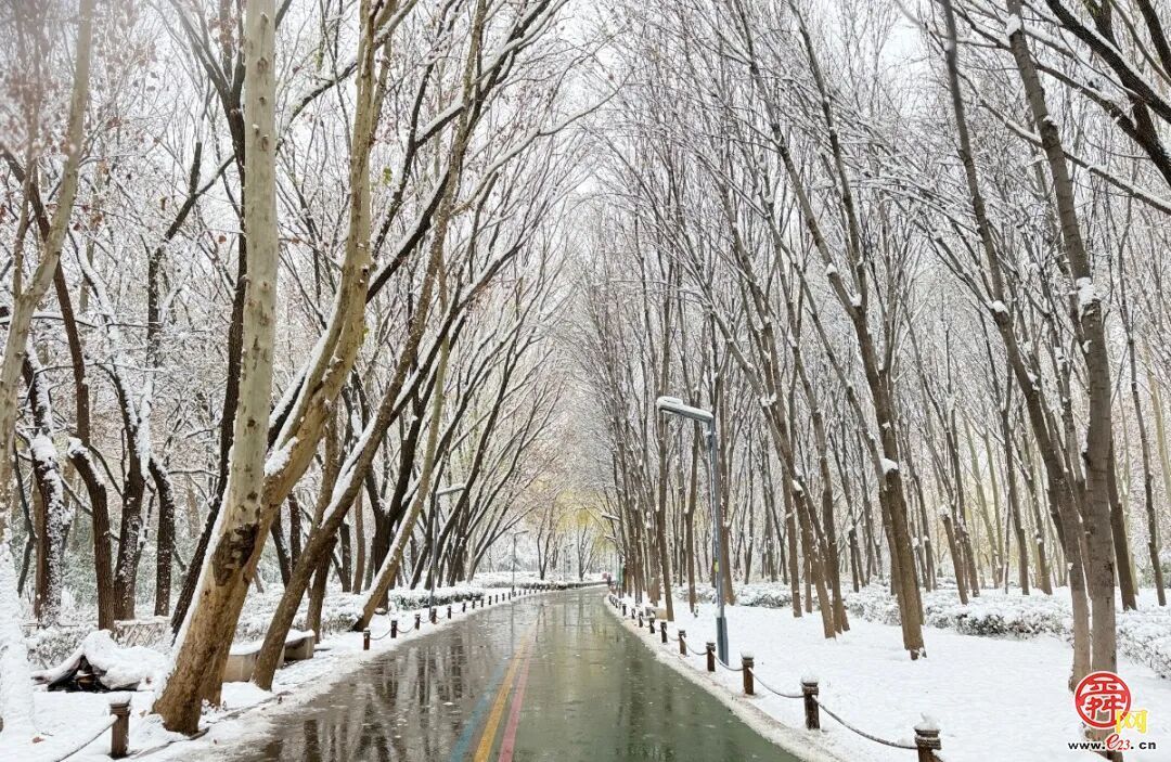 雪漫泉城园 九景入画来
