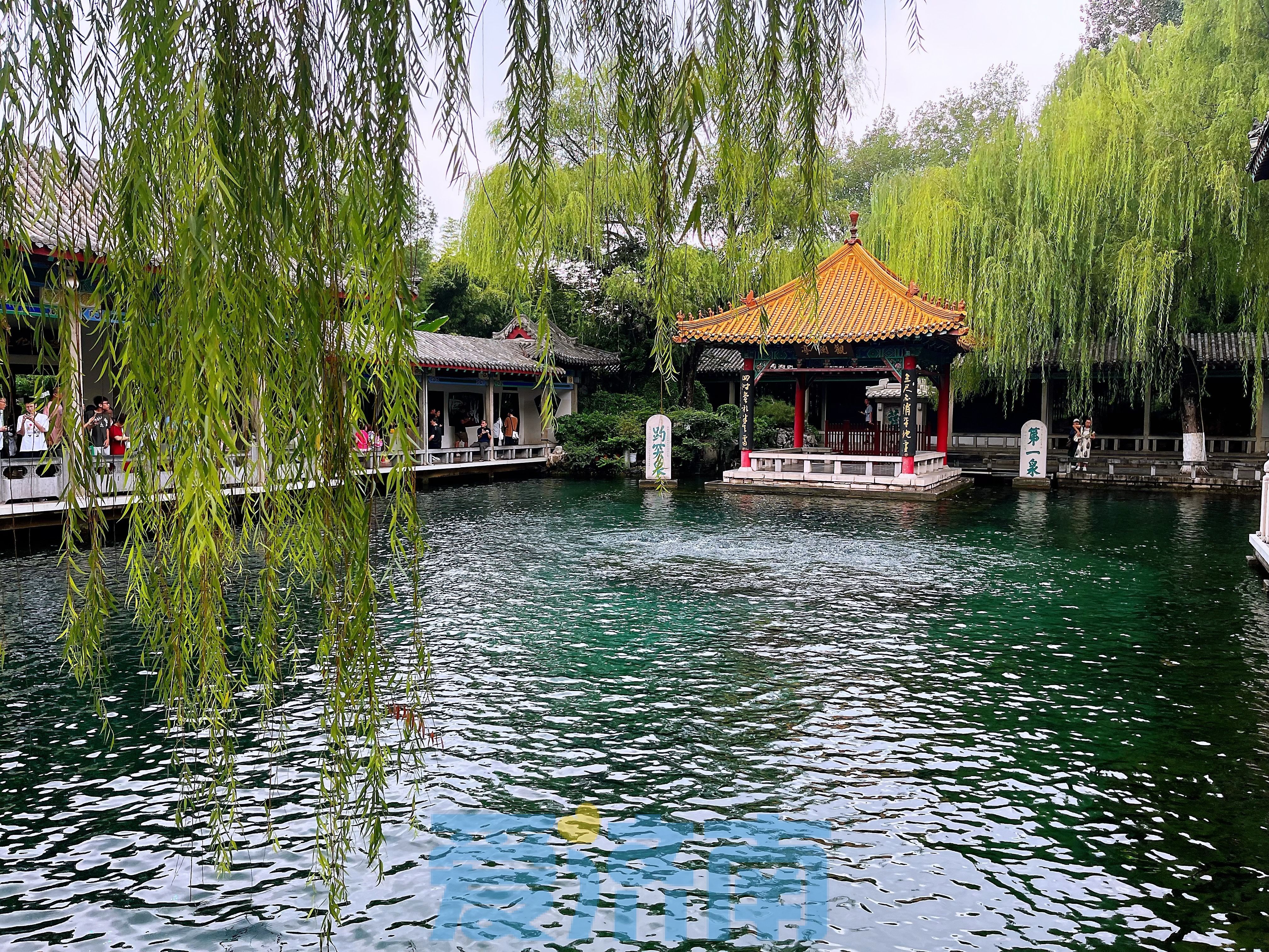 再涨6厘米！8月以来，趵突泉已“长高”68厘米