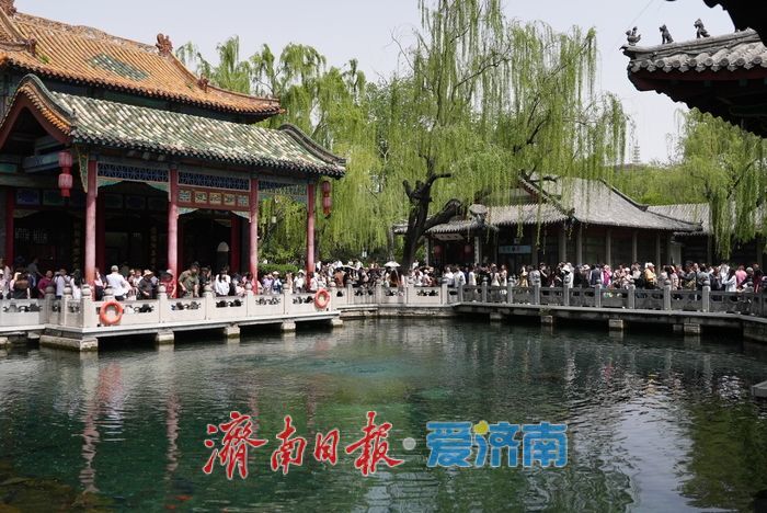 趵突泉畔觅清凉