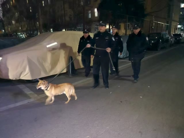 独居老人犬只扰民，民警温情处置