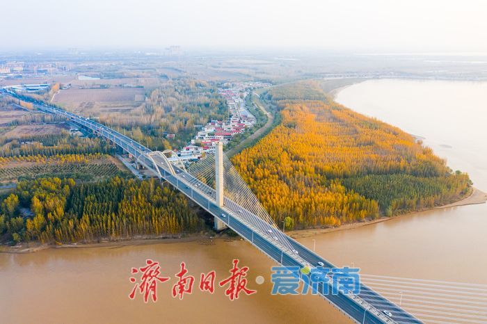 大河之畔，济南建邦大桥迎晨光