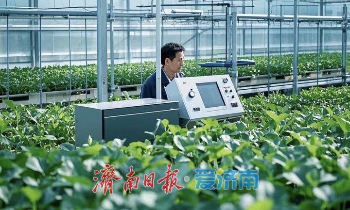 趵眼丨从“固本”到“提质”，乡村振兴这样进阶