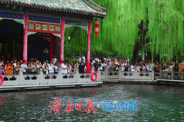 直逼29米！趵突泉持续喷涌22年，泉畔游人如织共赏胜景