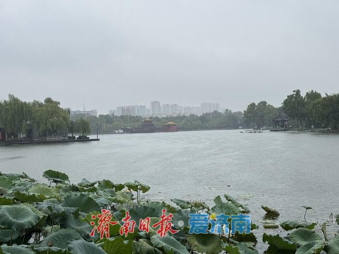 一年四季 泉在济南丨秋雨润明湖 人在画中游