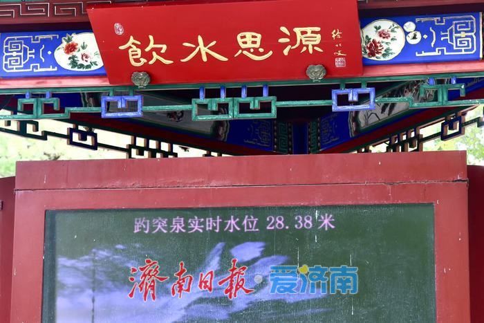 一年四季 泉在济南丨雨后趵突泉水位显著回升 高温天游客赏泉热情不减