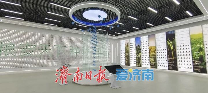 商河：一粒种子激活农业“芯”动能