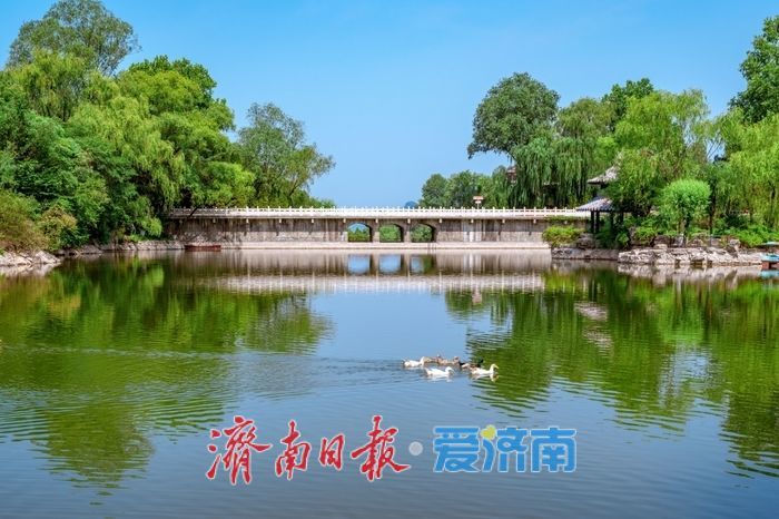 一年四季 泉在济南丨FUN肆一夏！济南红叶谷第十八届百合花节盛大启幕