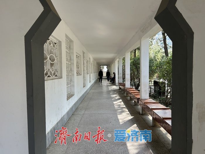 赏花健身淘旧书 济南中山公园解锁春日休闲新方式