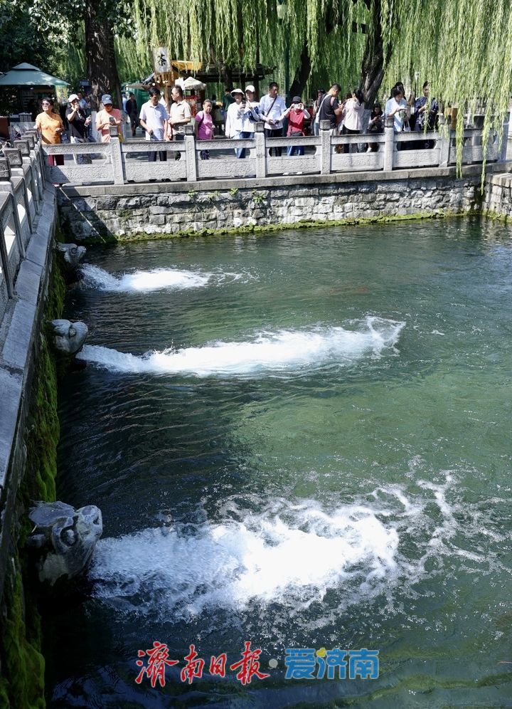 一年四季 泉在济南丨黑虎泉畔秋意浓，游客打卡络绎不绝