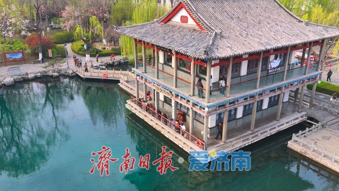 一年四季 泉在济南丨龙潭春晓，泉韵生香