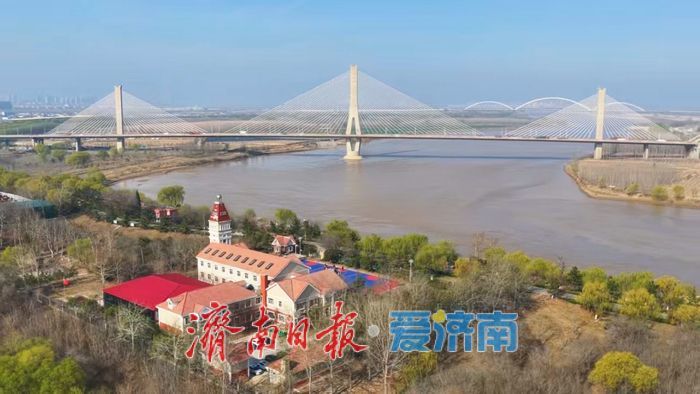 一年四季 泉在济南丨春分时节，黄河济南段尽显生态之美