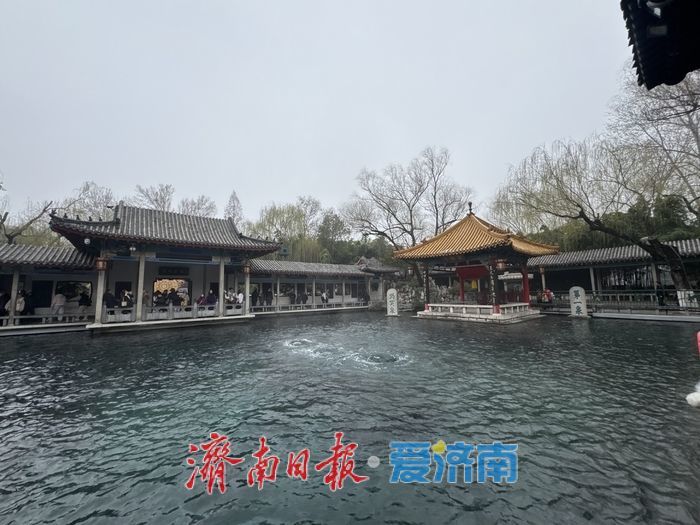 一年四季 泉在济南丨春风拂泉城 趵突涌春意