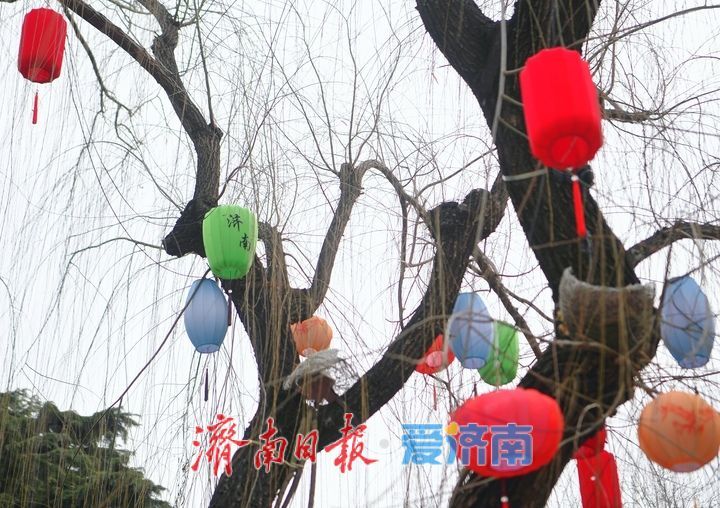 济南天下第一泉迎春花灯会进入安装阶段，园区渐展“奇幻”容颜