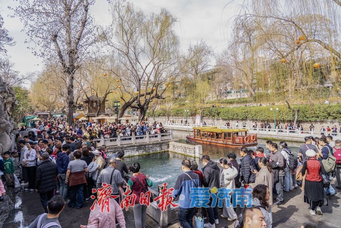 泉在济南过大年丨泉水游持续升温，赏泉品茗乐享新春