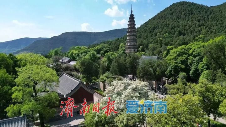 免票、优惠！济南各景区专属中、高考考生的福利来了！