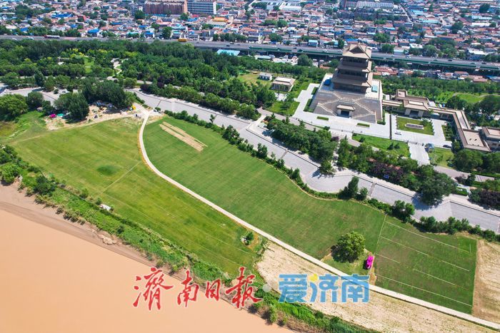黄河生态廊道铺就生态绿毯 济南岸线景观持续提质