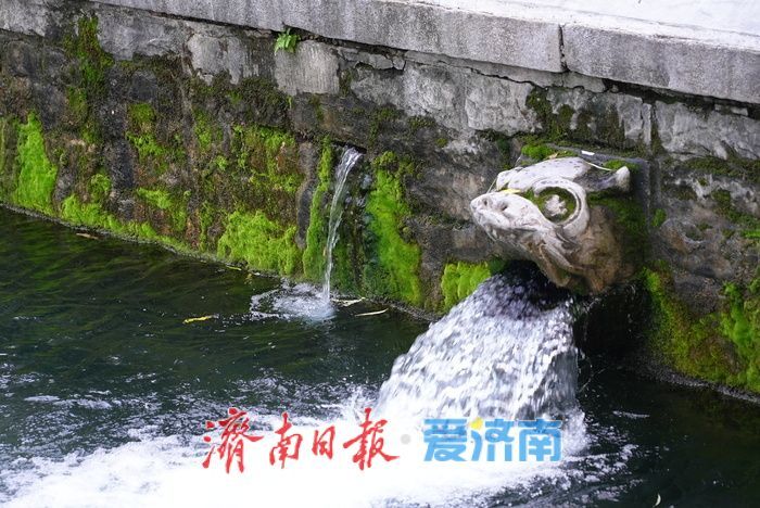 水位升高 黑虎泉池壁上再现新“喷口”