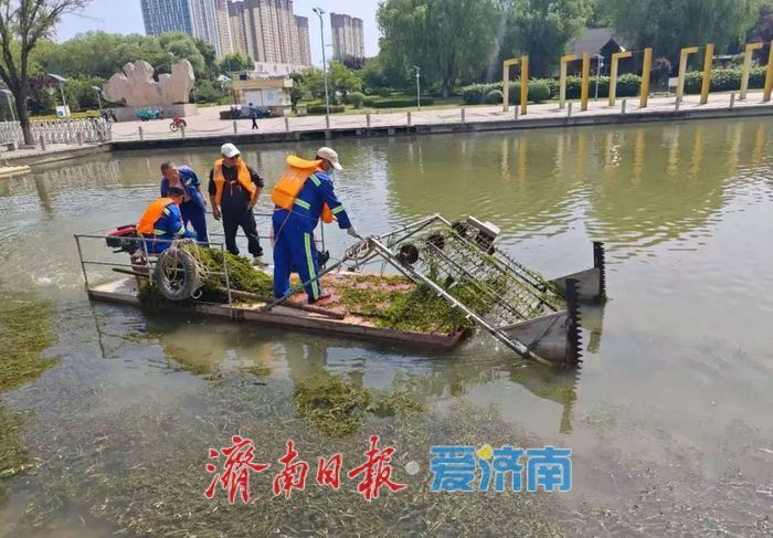 端午赏荷好去处！300亩荷花盛放绣源河