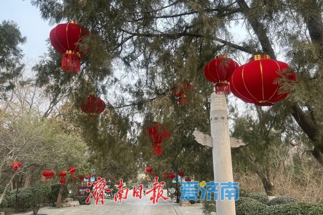 “泉”在济南过大年｜“一城山色·登山打卡”登高贺岁闹新春