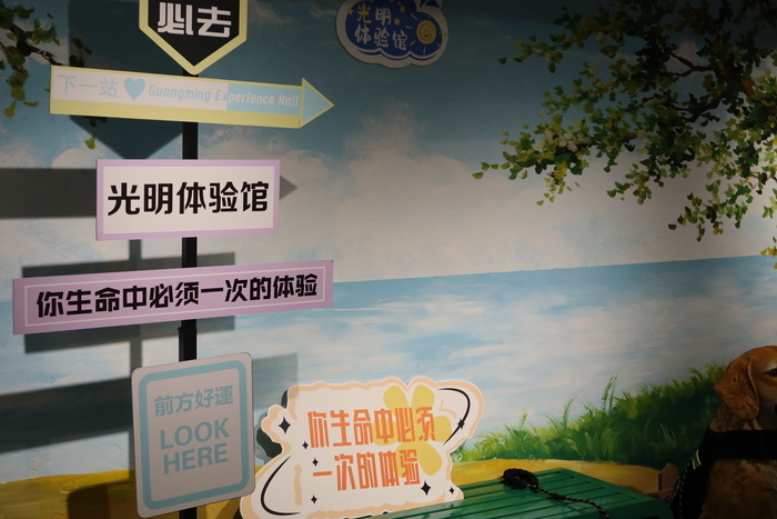 在这里，你将经历45分钟的“至暗时刻”——假如你失去了光明