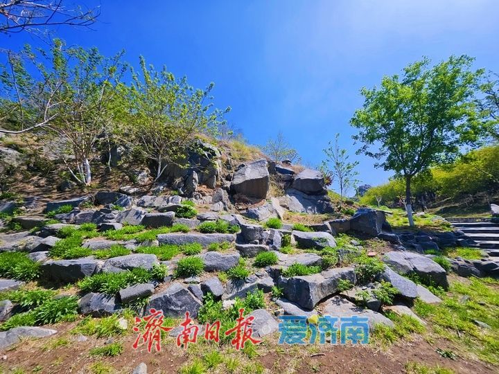 废矿披绿装  卧牛山地质公园华丽变身城市生态公园