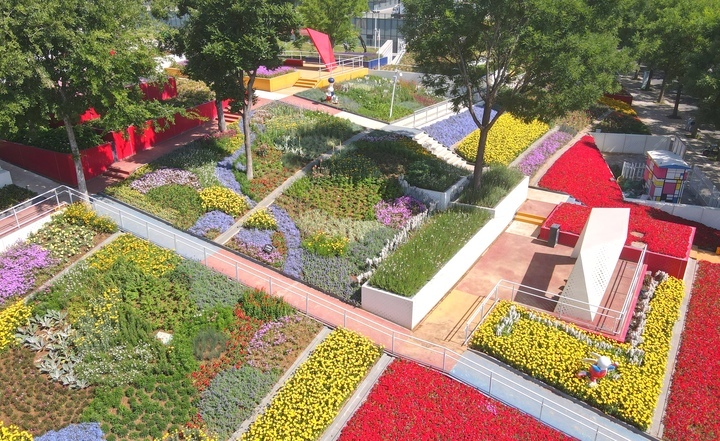 济南“七彩花田”初夏绽新颜