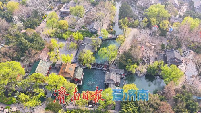 气温攀升泉涌欢，趵突泉畔春意浓