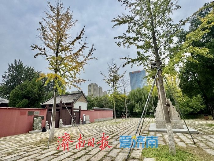 一年四季 泉在济南 