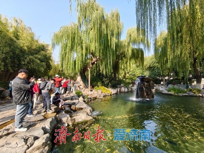 清泉汩汩映晴空，“月牙飞瀑”醉初冬