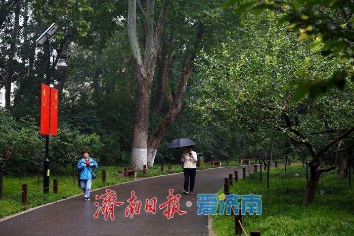 细雨如丝，百花公园秋意朦胧