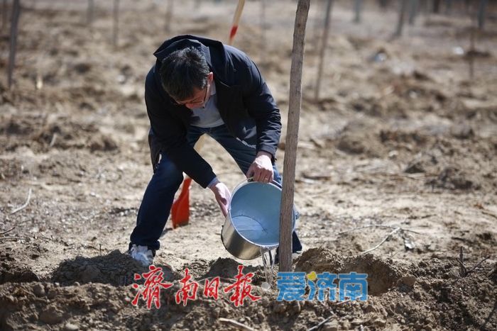 济南市开展校友林植树活动